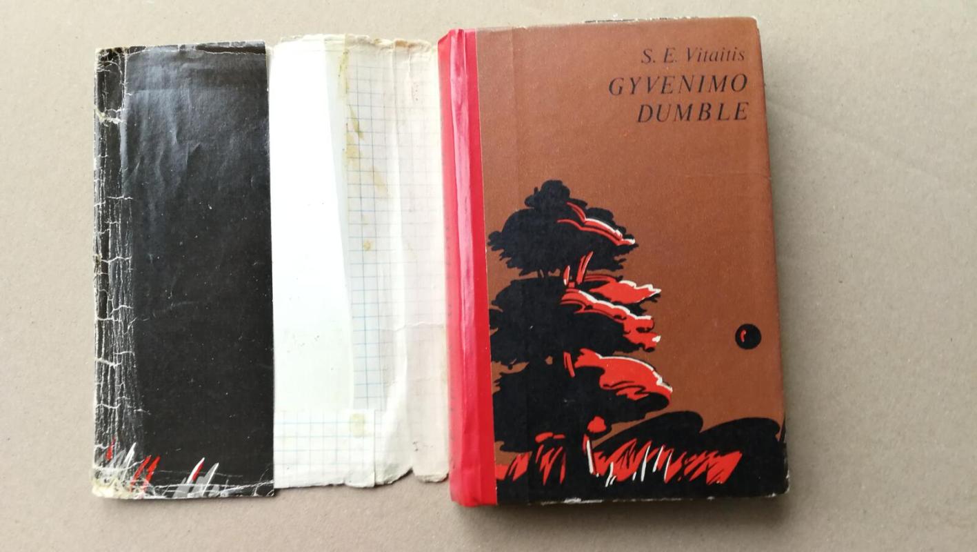 Gyvenimo dumble - S.E. Vitaitis, knyga 4