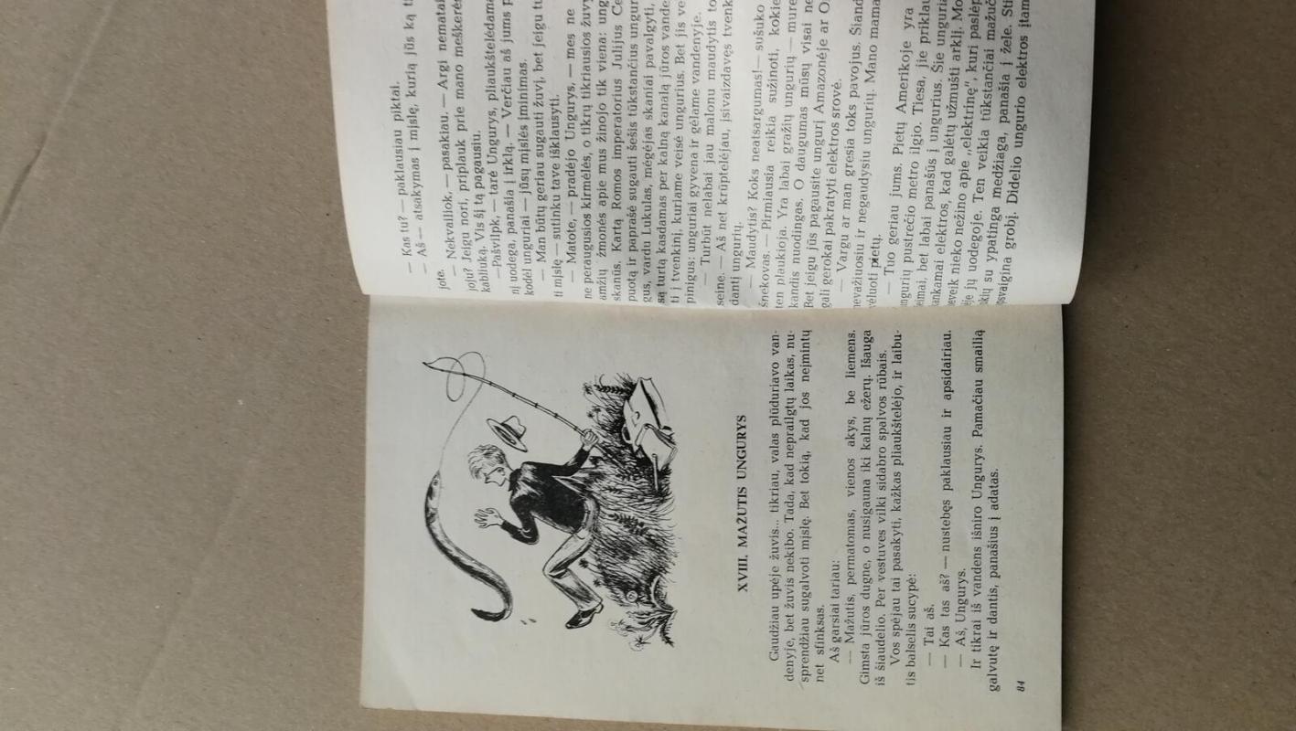 Voras savo paties voratinklyje - Šarlota Diurk, knyga 4