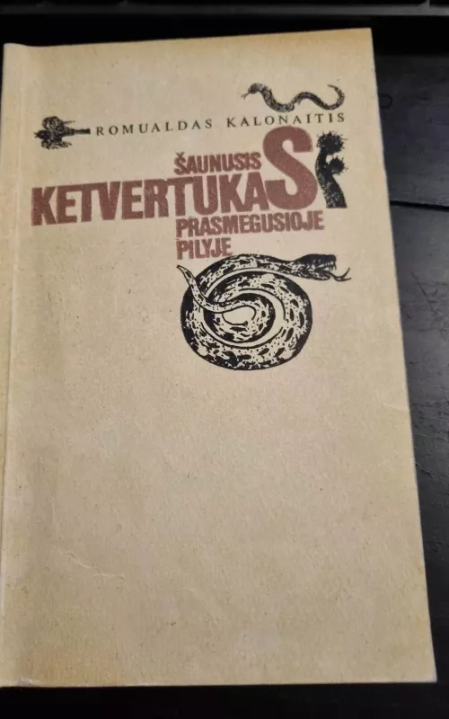 Šaunusis ketvertukas prasmegusioje pilyje - Romualdas Kalonaitis, knyga 2