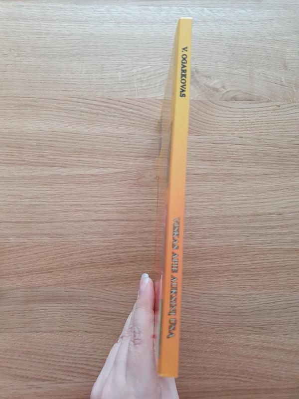 Viskas apie auksinį ūsą - Vladimiras Ogarkovas, knyga 4