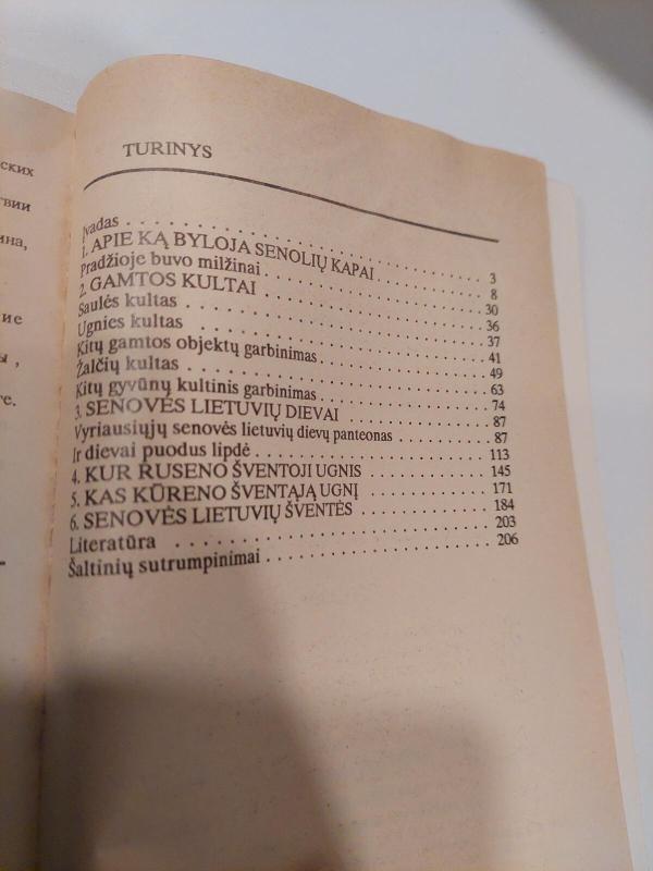 Senovės lietuviai - Mindaugas Bartninkas, knyga 3