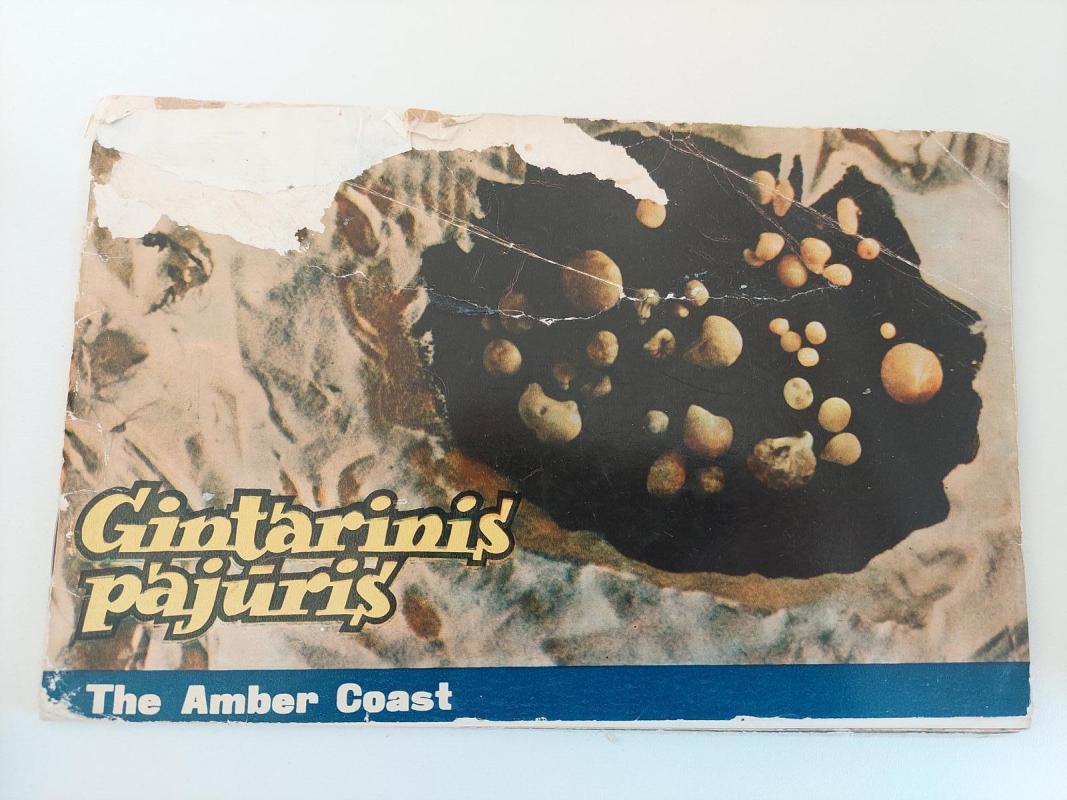 Gintarinis pajūris - Autorių Kolektyvas, knyga 2