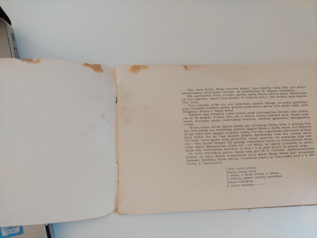 Gintarinis pajūris - Autorių Kolektyvas, knyga 5