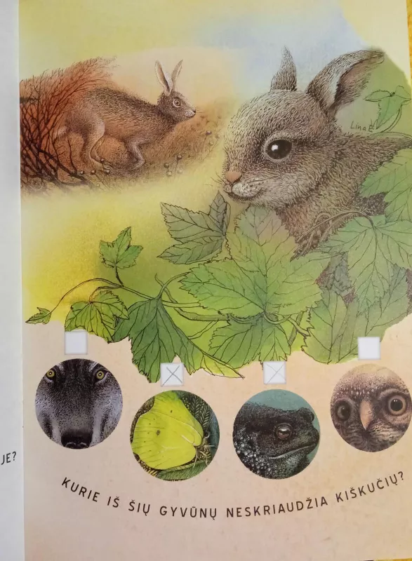 L.Valužienė Kryžiažodžiai apie miško gyvūnus - Lina Eitmantytė-Valužienė, knyga 3