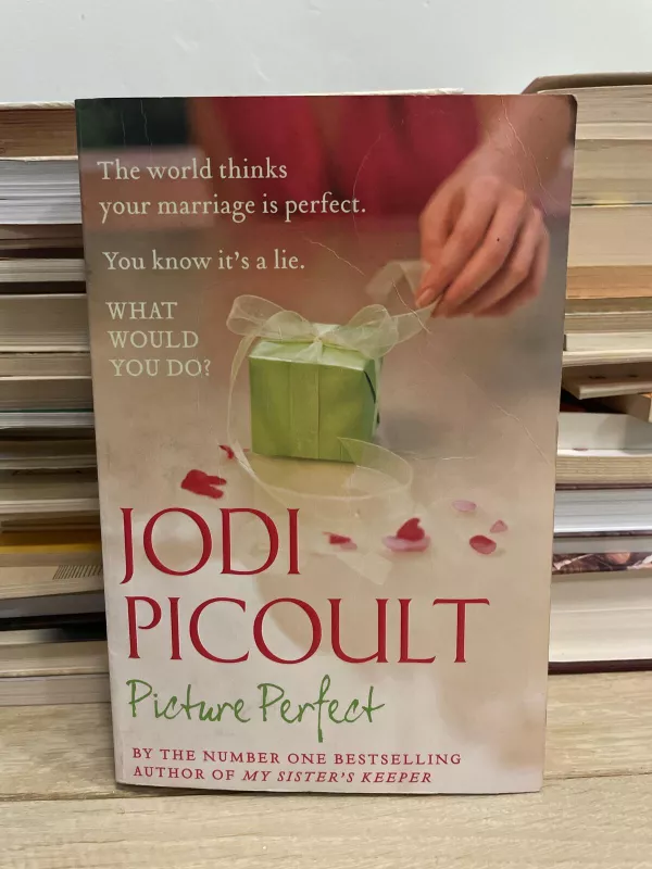 Picture Perfect - Jodi Picoult, knyga