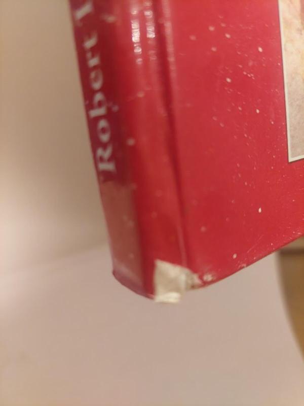 Burtininkai ir pabaisos - Robert Ingpen, Molly  Perham, knyga 5