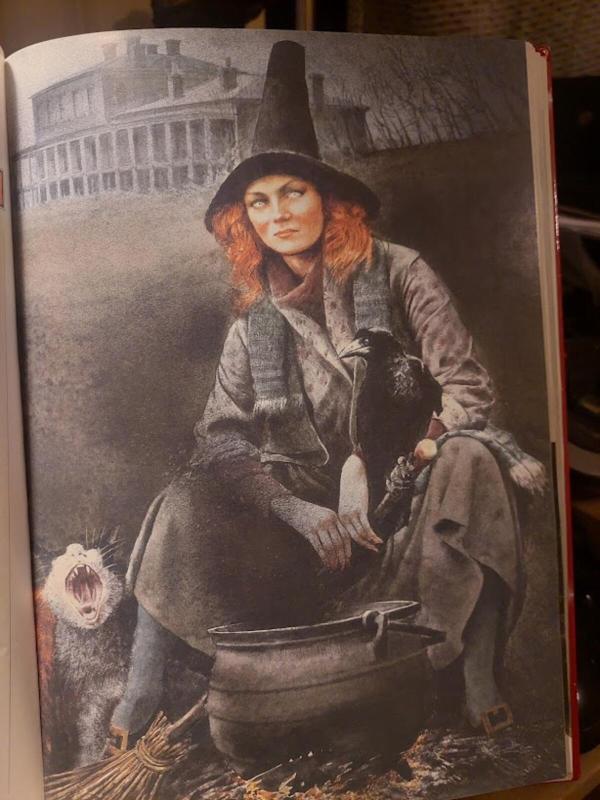 Burtininkai ir pabaisos - Robert Ingpen, Molly  Perham, knyga 4