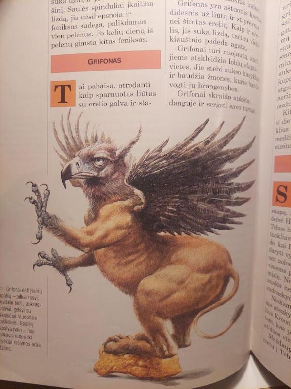 Burtininkai ir pabaisos - Robert Ingpen, Molly  Perham, knyga 3