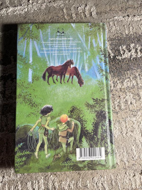 Ronja plėšiko duktė - Astrid Lindgren, knyga 3