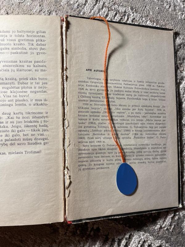 Mirtis manęs palauks - Grigorijus Fedosejevas, knyga 4