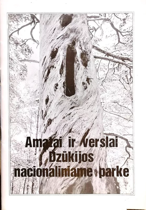 Amatai ir verslai Dzūkijos nacionaliniame parke - I. Lazdinis, knyga