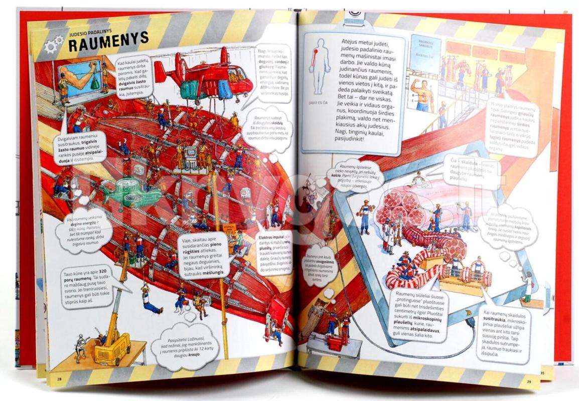 žmogaus kūno fabrikas - Dan Green, knyga 4