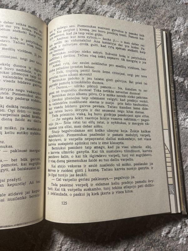 Piemenukas ir elfų karalius. Švedų pasakos - Autorių Kolektyvas, knyga 3