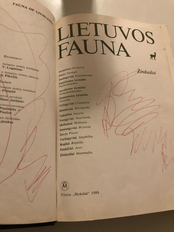 Lietuvos fauna. Žinduoliai - Autorių Kolektyvas, knyga 5