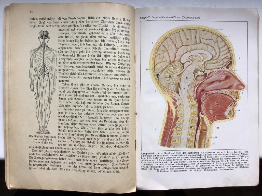 Der Mensch - Otto Schmeil, knyga 2