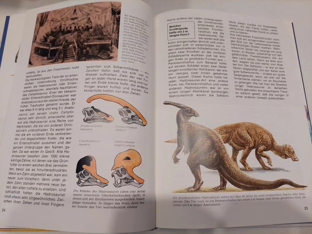 Dinosaurier - Autorių Kolektyvas, knyga 2