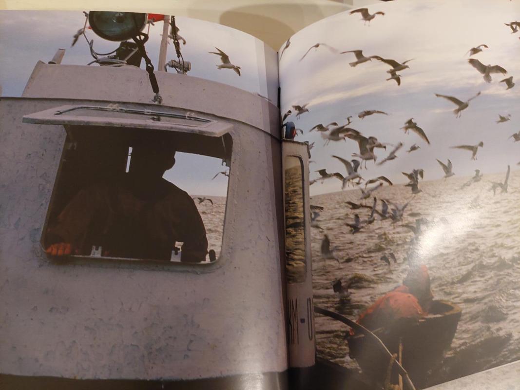 Kaliningrado vaizdų albumas - Autorių Kolektyvas, knyga 3