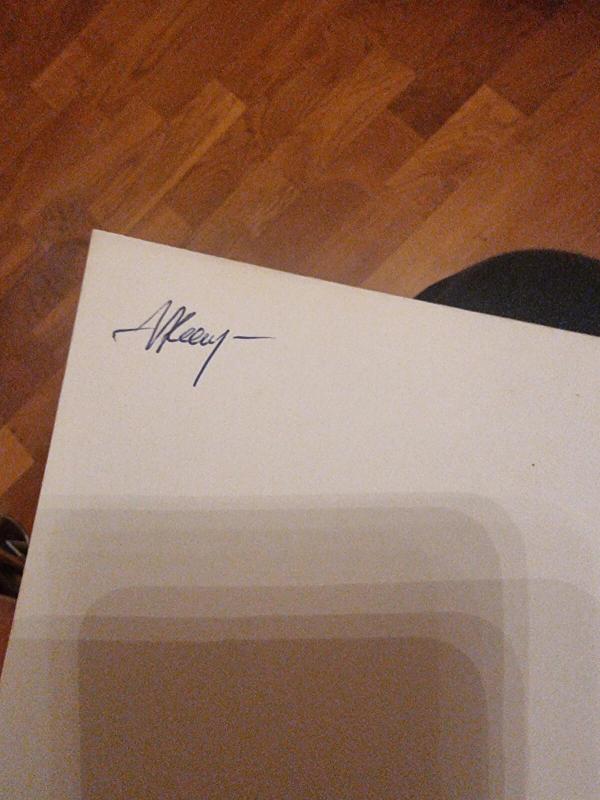 The vintage girl - Hester Browne, knyga 2