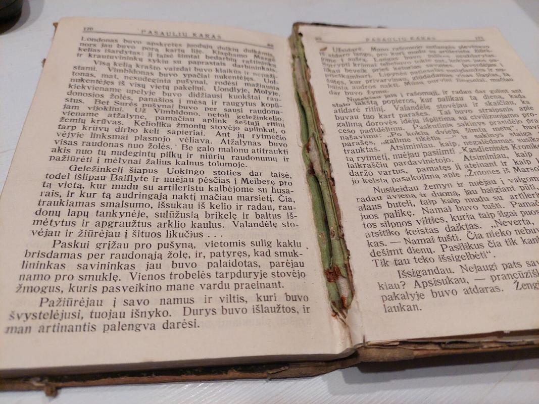 Pasaulių karas - Herbert George Wells, knyga 5