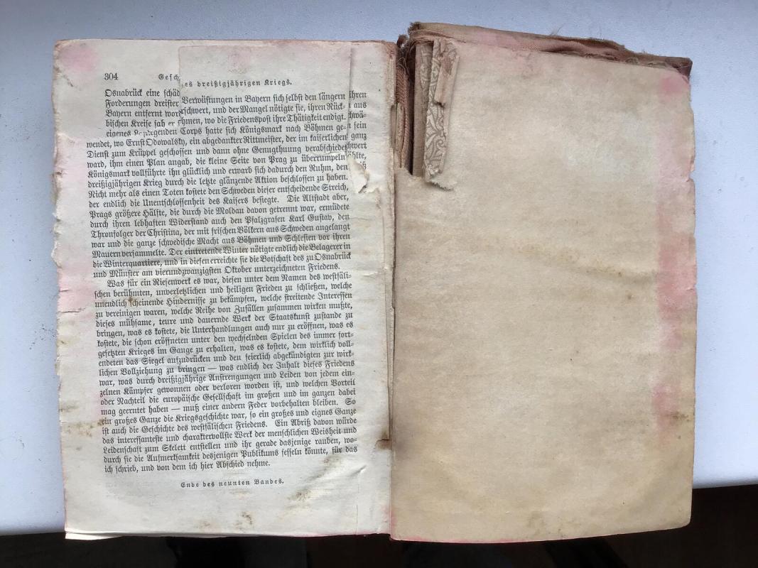 Schillers sämtliche Werke - Fridrichas Šileris, knyga 2