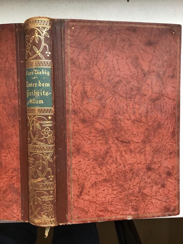 Unter der Freiheitsbaum - Clara Viebig, knyga 3