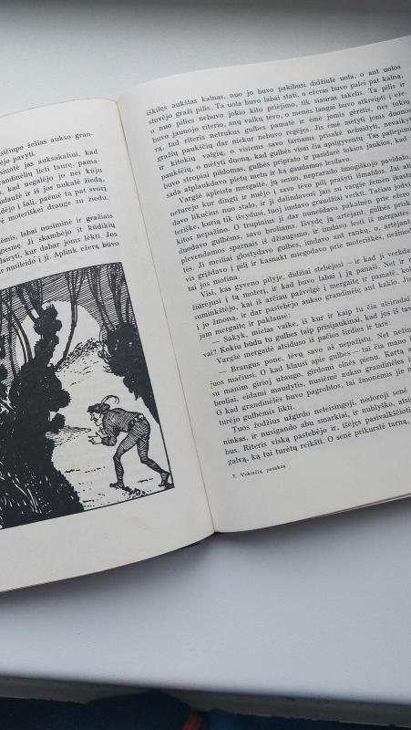 Vokiečių pasakos - Liudvigas Bechšteinas, knyga 2