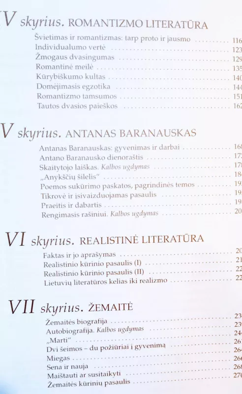 Literatūros vadovėlis 9 klasei - I. Kanišauskaitė, S.  Žukas, N.  Šervenikaitė, knyga 3