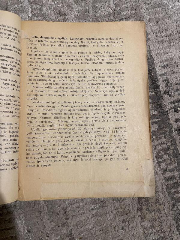 Kolūkietės namų ūkis - Autorių Kolektyvas, knyga 3