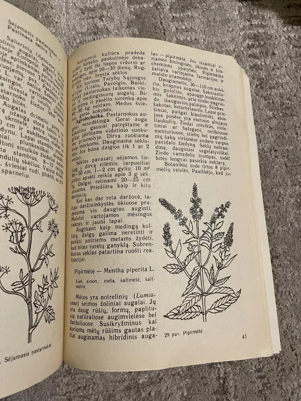 Medingieji augalai - Jadvyga Balvočiūtė, knyga 3