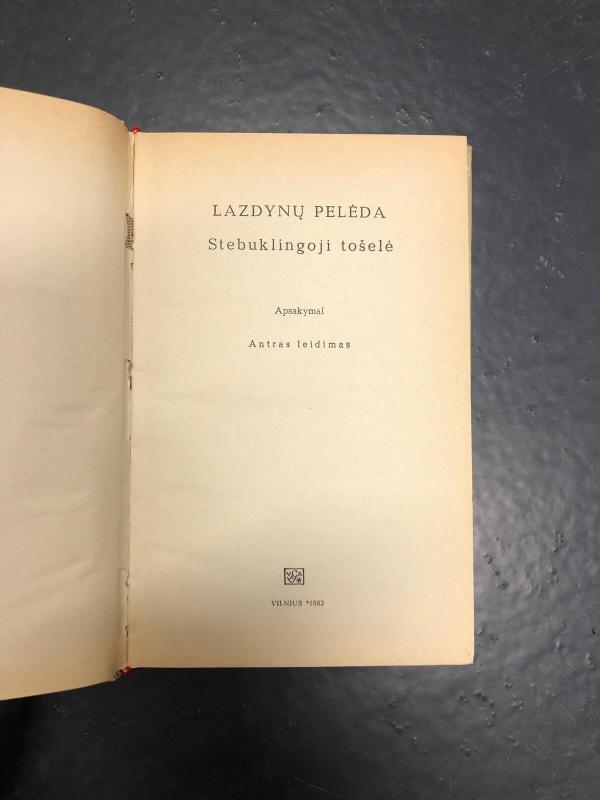 Stebuklingoji Tošelė - Pelėda Lazdynų, knyga 2