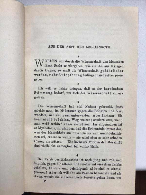Die Unschuld des Werdens. Der Nachlass. Band 2 - Friedrich Nietzsche, knyga 2