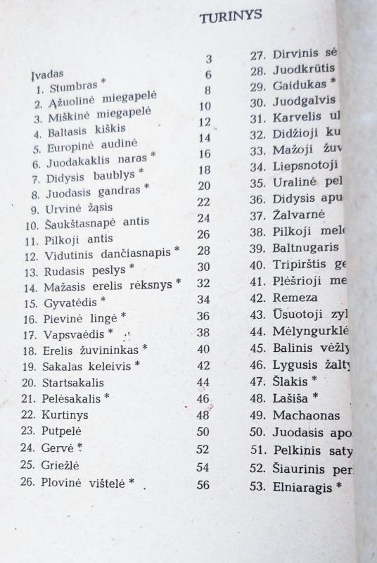 Jie neturi išnykti - Ričardas Kazlauskas, knyga 3