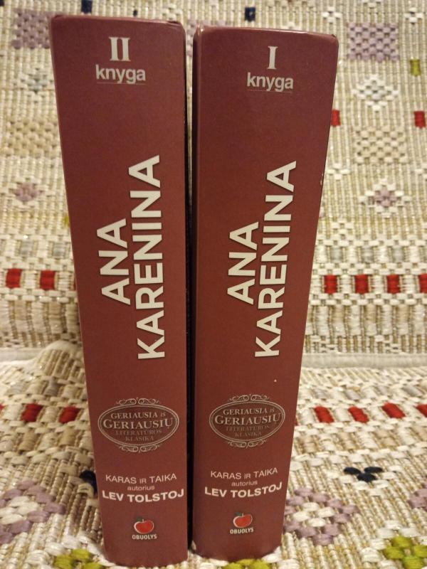 Ana Karenina (dvi knygos) - Levas Tolstojus, knyga 3
