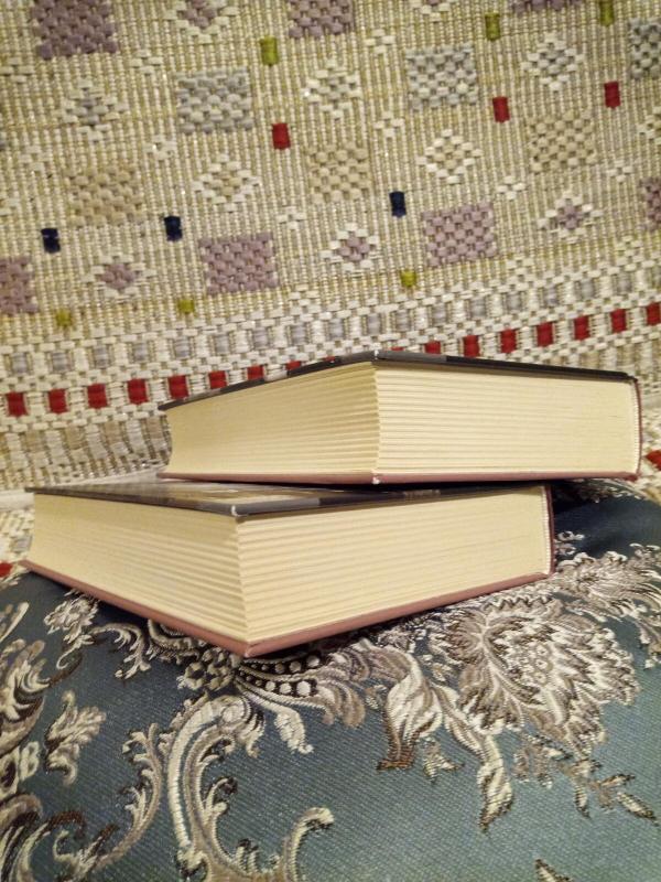 Ana Karenina (dvi knygos) - Levas Tolstojus, knyga 4