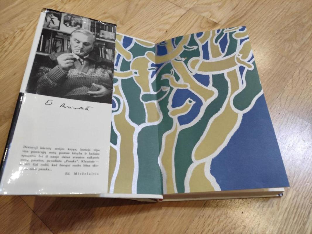 Pasaka - Eduardas Mieželaitis, knyga 4