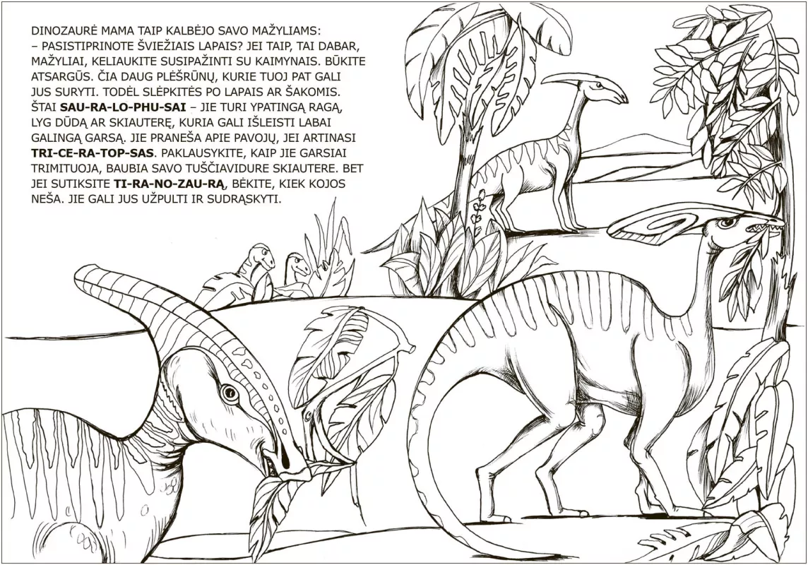 Viena diena dinozaurų šalyje - Jūratė Leikaitė, knyga 2