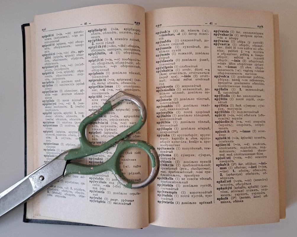 Lietuvių-rusų kalbų žodynas - Antanas Lyberis, knyga 4