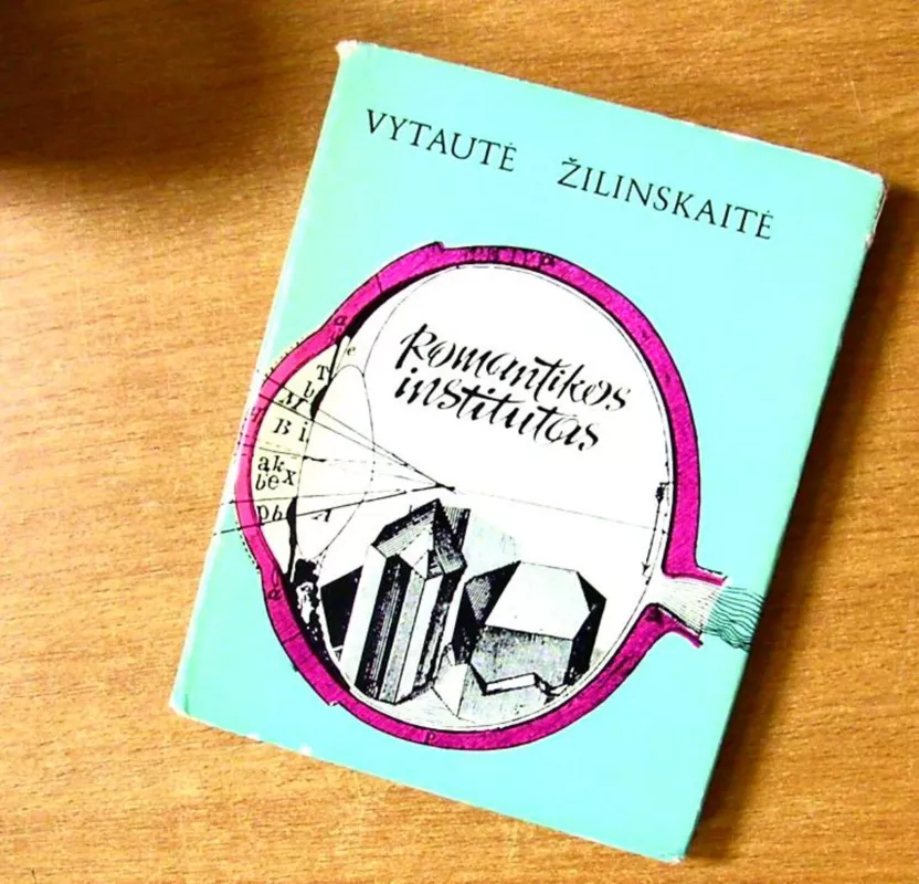 Romantikos institutas arba pafilosofavimai - Vytautė Žilinskaitė, knyga
