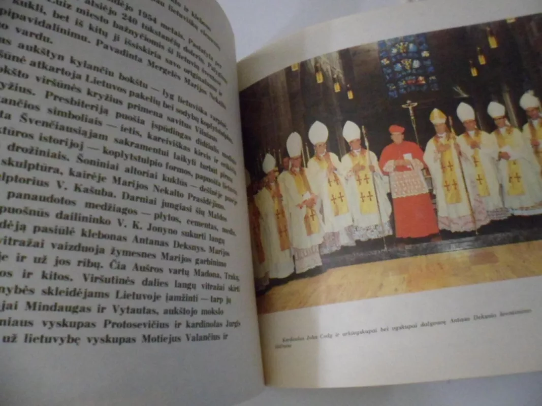 Caritas numquam excidit - Aurelija Akstiniene, knyga 3