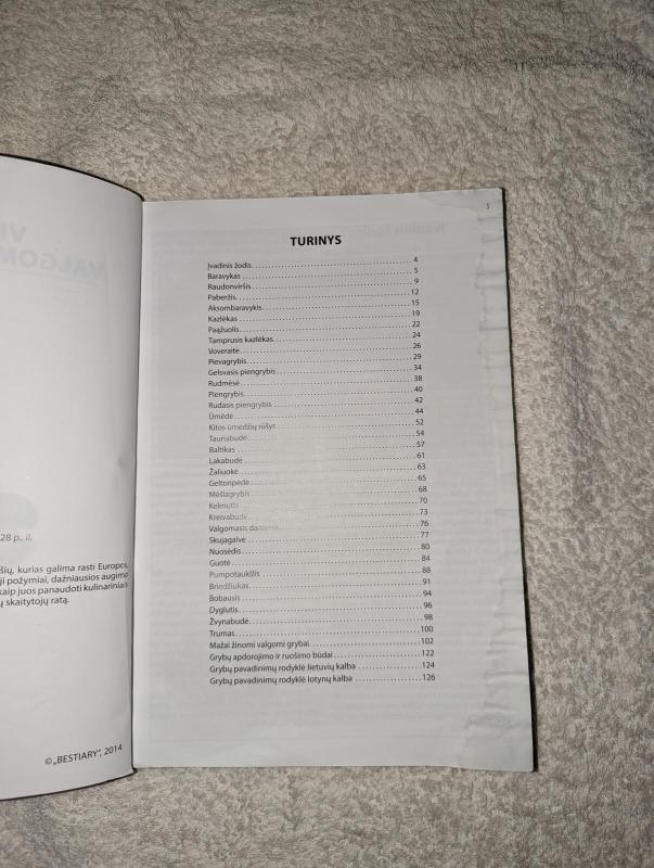 Viskas apie valgomuosius grybus - Autorių Kolektyvas, knyga 5