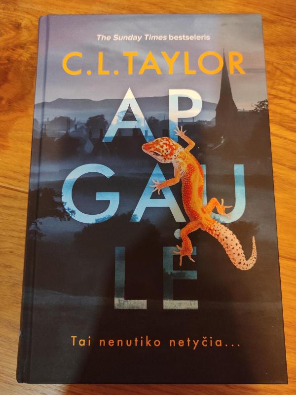 Apgaulė - C. L. Taylor, knyga 2