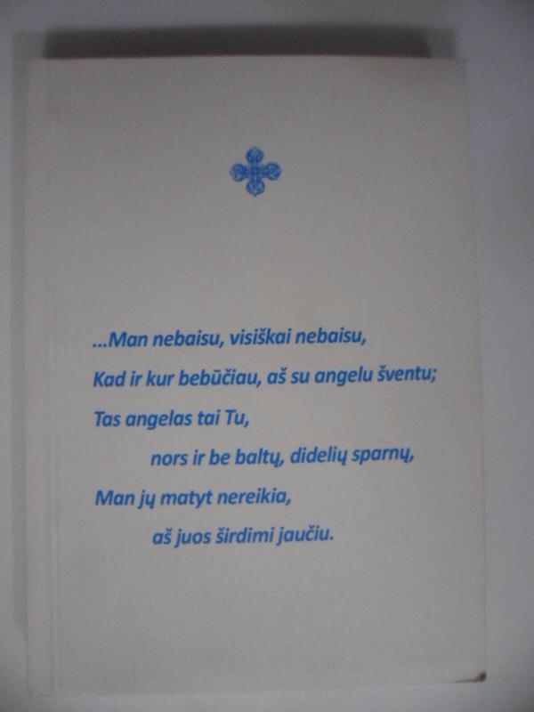 man nebaisu - Autorių Kolektyvas, knyga 3