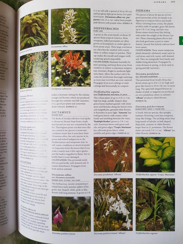 Botanica: the illustrated A-Z of over 10000 garden plants and how to cultivate them - Autorių Kolektyvas, knyga 3