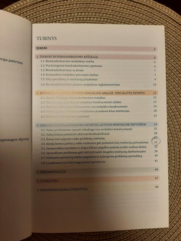 Padėkime vaikui įveikti sunkumus: geroji bendradarbiavimo mokyklose patirtis - V. Skučaitė, A.  Pielikienė, knyga 3