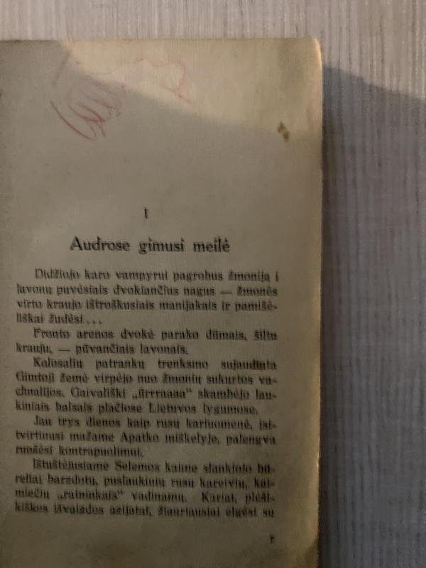 Didysis sielvartas - Klemensas Jūra, knyga 4