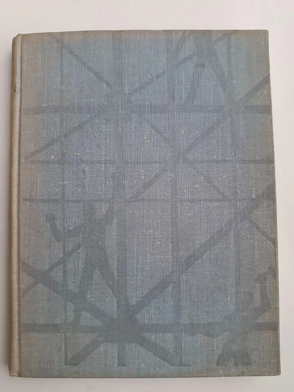 Rankos ir betonas - A. Drilinga, knyga