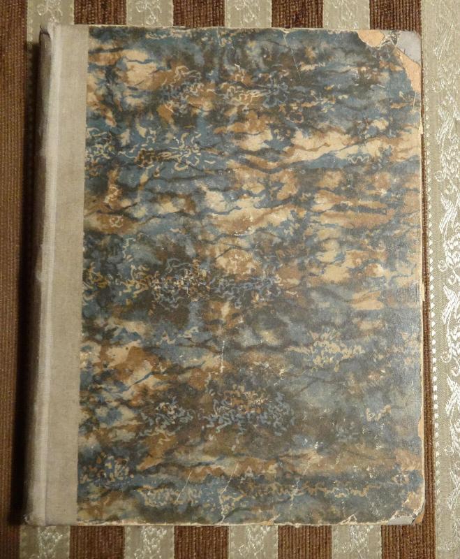 Eugenijus Oneginas - Aleksandras Puškinas, knyga 4