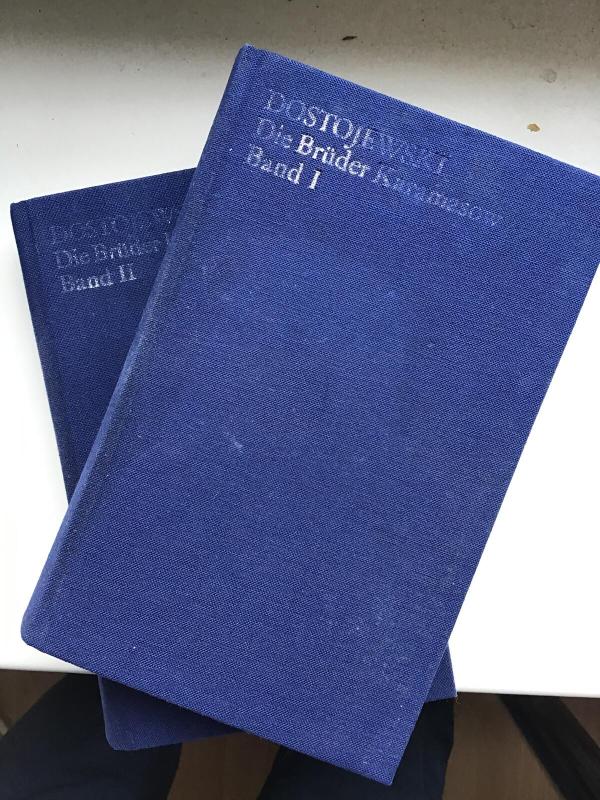 Die Brüder Karamazow. 2 Bände. - Fiodoras Dostojevskis, knyga 3