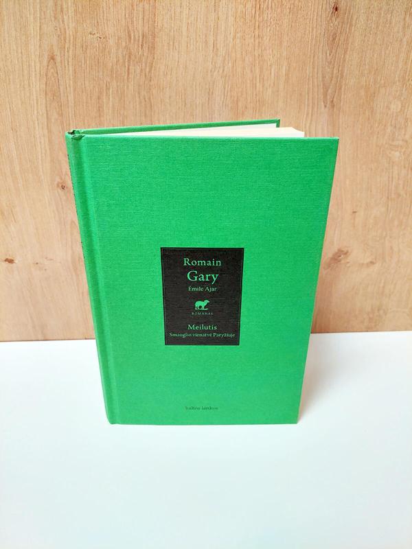 Meilutis: smauglio vienatvė Paryžiuje - Romain Gary, knyga 2