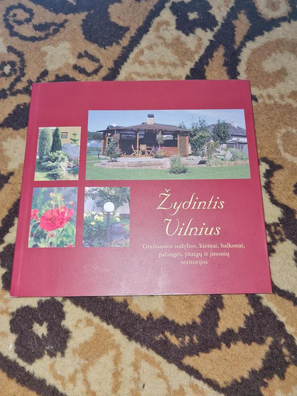 Žydintis Vilnius - Autorių Kolektyvas, knyga 2